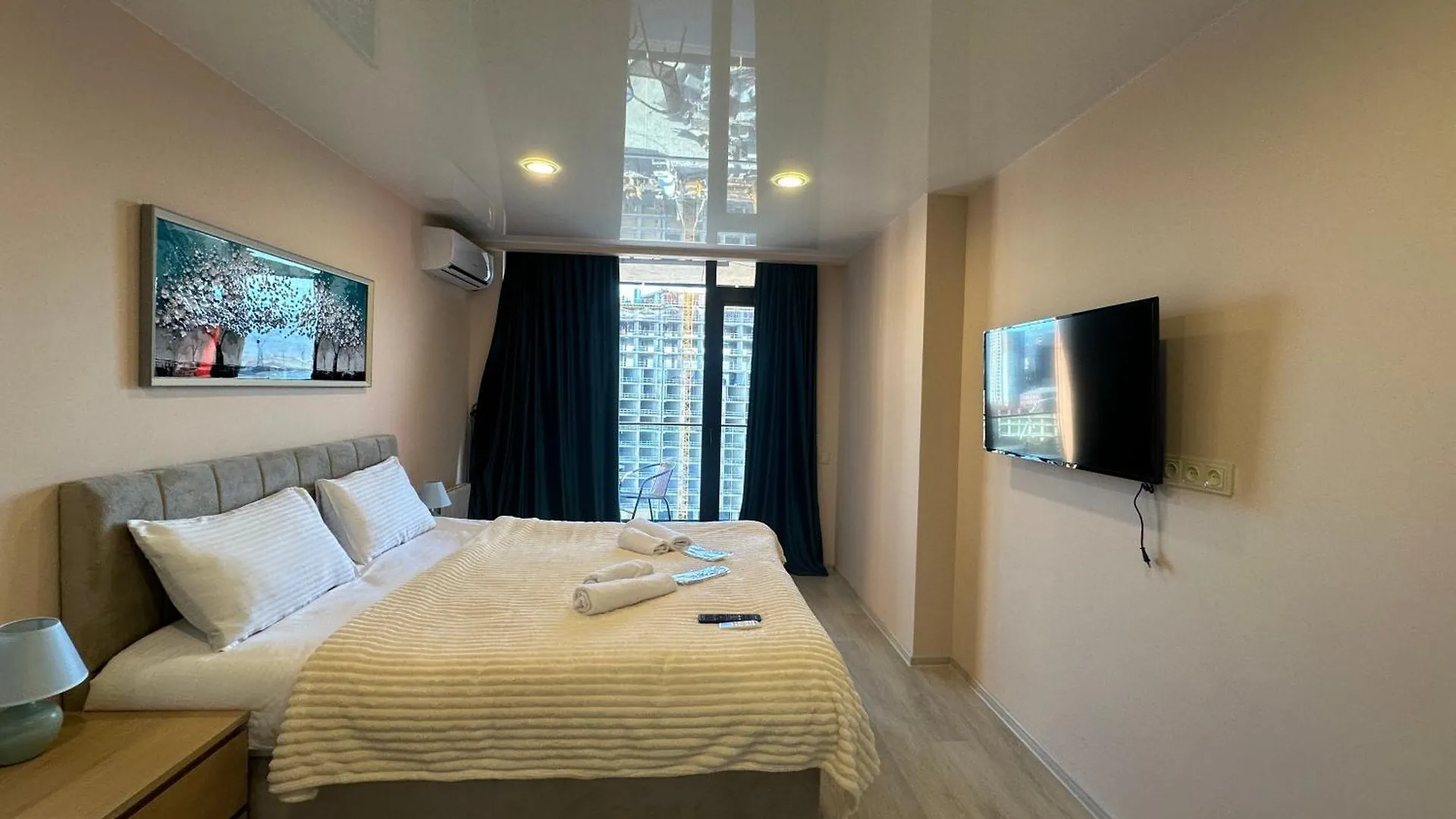 Lovely Apartments With The Mountain View 303 Batumi Georgia