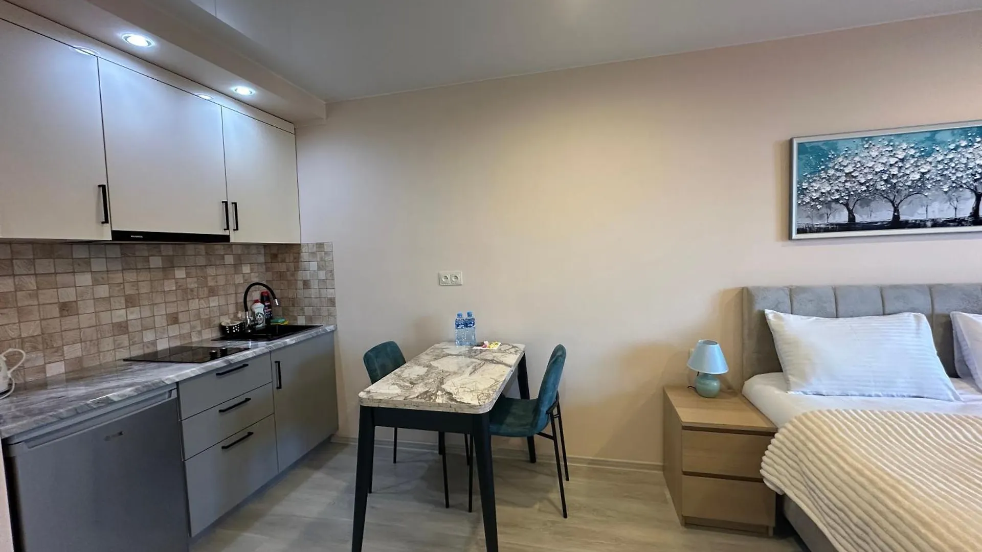 Lovely Apartments With The Mountain View 303 Batumi